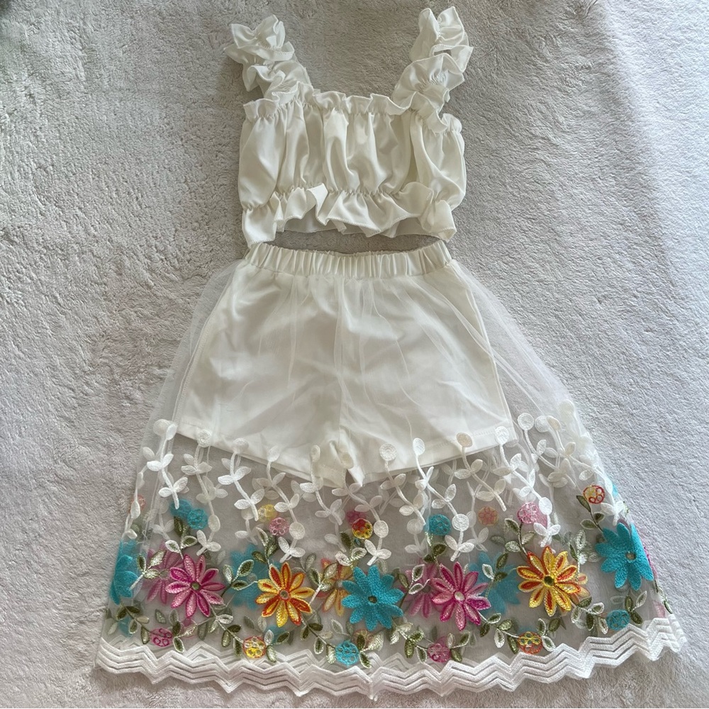 Crop Top & Matching Embroidered Skirt